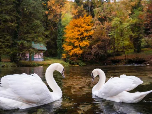 Saraybosna'da Yaşam
