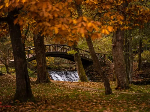 Saraybosna'da Yaşam